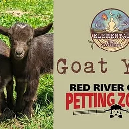 Goat Yoga - Every Saturday at The Red River Gorge Petting Zoo