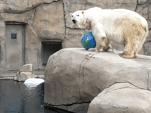 “Party For The Planet” Sponsored By Xcel Energy