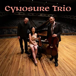 The CYNOSURE Trio