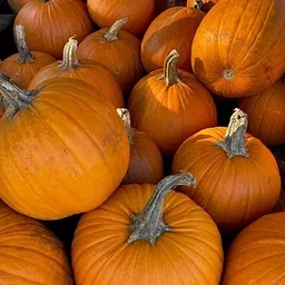Family Fun Days: Halloween with DAC & the Library 2026