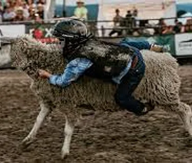Big Sky Events Arena: Free Community Day & Mutton Bustin’