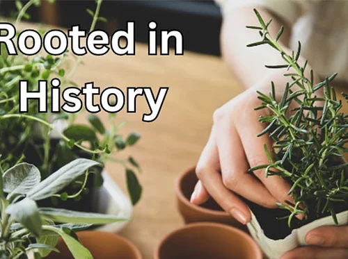 Rooted in History: Plant Your Own Herb Container