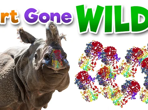 Art Gone Wild