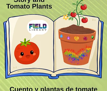 Story and Tomato Plants
