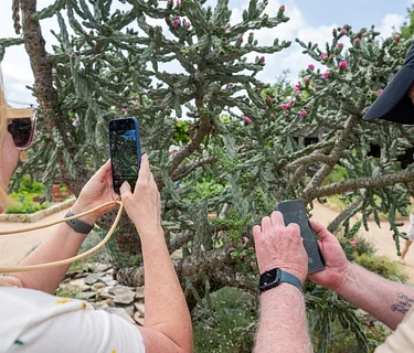 iNaturalist Workshop