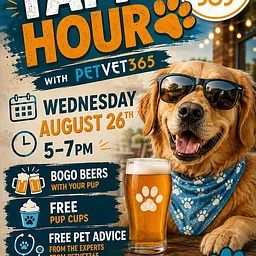 Yappy Hour With Pet Vet 365