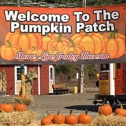 All Aboard the Pumpkin Patch Trolley