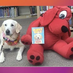 Read to a Therapy Dog