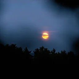 Full Moon Fall Forest Bathing: shinrin-yoku