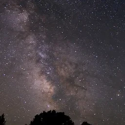 Welcome to the Milky Way