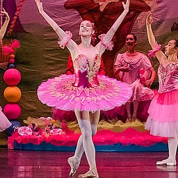 The Nutcracker