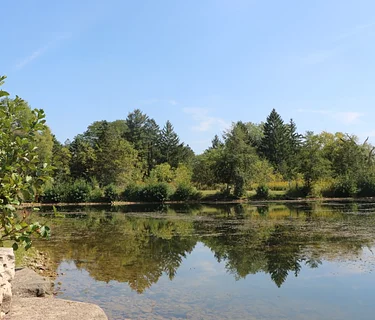 Summer Nature Camp