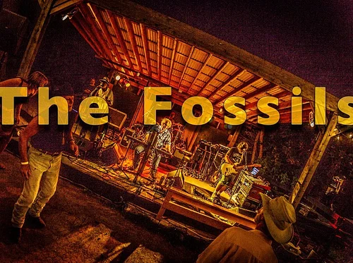The Fossils