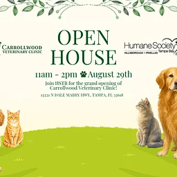 Carrollwood Veterinary Clinic Open House