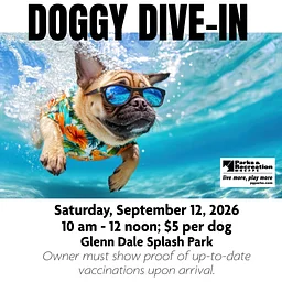 Doggy Dive-In