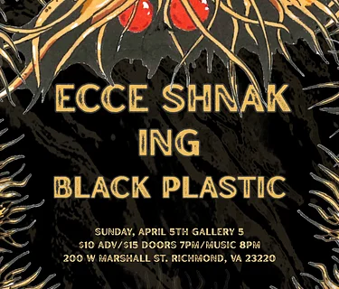 Ecce Shnak (nyc), Ing & Black Plastic