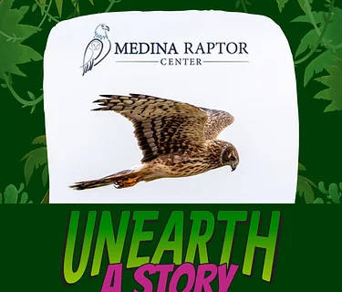 Medina Raptor Center Live Bird Presentation