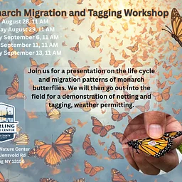 Monarch Migration and Tagging Workshop