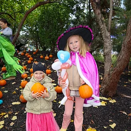 Newport Pumpkin Festival