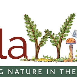 DelaWild