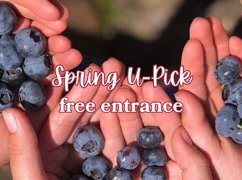 Spring U-Pick