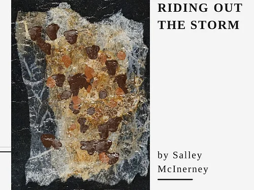 Riding Out the Storm by Salley McInerney