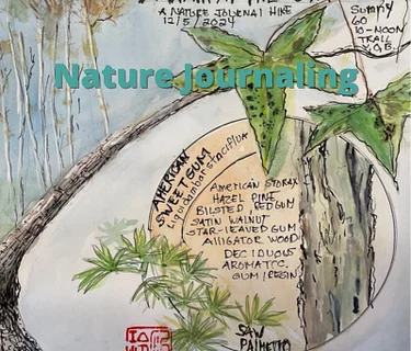 Nature Journaling