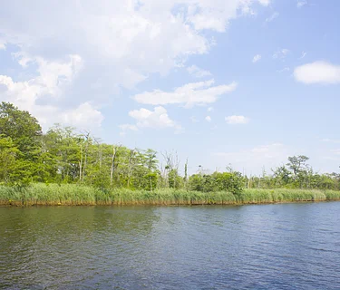 Walk on the Wild Side: Paradise Island Tour