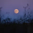 Women’s Night Out: New Moon Empowerment