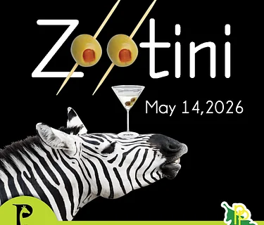 Zootini
