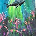 Reef Shark