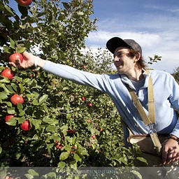 Youth Skills Workshop: Apple Production