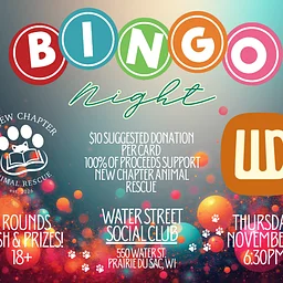 Bingo Night with New Chapter Animal Rescue & Working Draft Beer COmpany