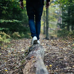 Seasons on the Land: Monthly Walks at Crown Point