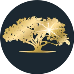 Abundant Wealth Strategies
