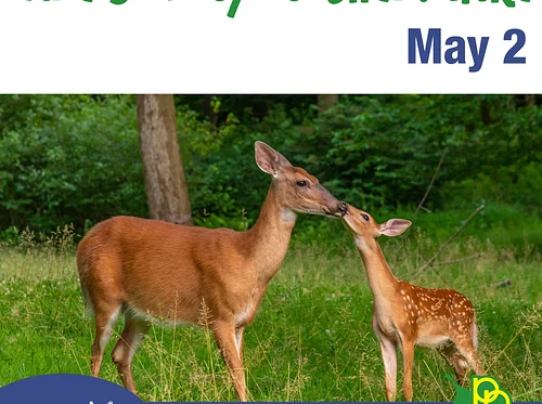 Are You My Mother? Hike