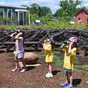 Nature Academy · Birds in Flight