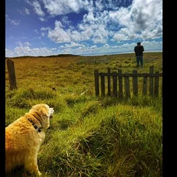 Kinship with Animals: Learn to Communicate Telepathically with Animals