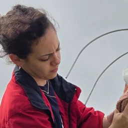 Volunteer @ Felts Audubon Preserve Conservation Day