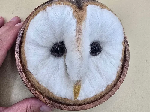 Needle Felt Barn Owl 🦉with Christie Lower