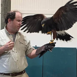 Reptiles & Raptors