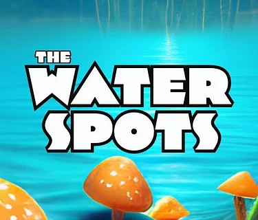The Water Spots