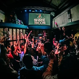 Shake The Room