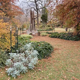 Gardener’s Workshop: Gardening in Early Fall