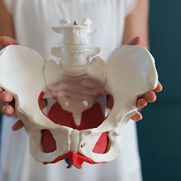 Yoga for Core & Pelvic Floor