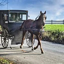 Lecture on the Lawn: Mennonite History and Culture
