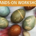 Botanically Dyed Eggs