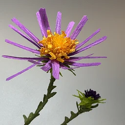 Botanical Paper Big Head Aster Workshop