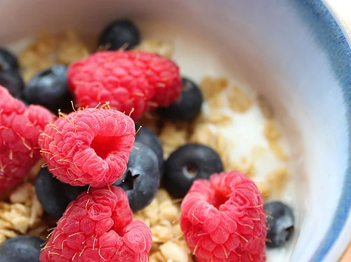 Make Your Own Yogurt