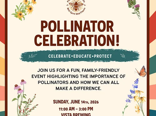 Pollinator Celebration with Wild Spirit Wild Places
